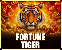 Fortune Tiger
