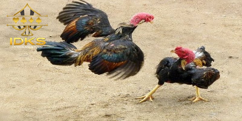 Memahami karakter pertandingan